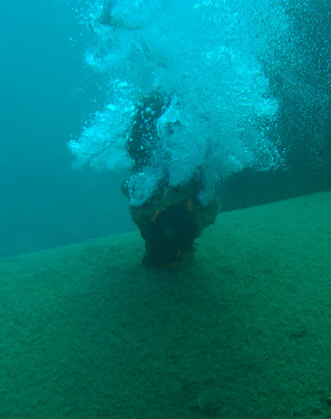 Foto seguimiento bajo el mar